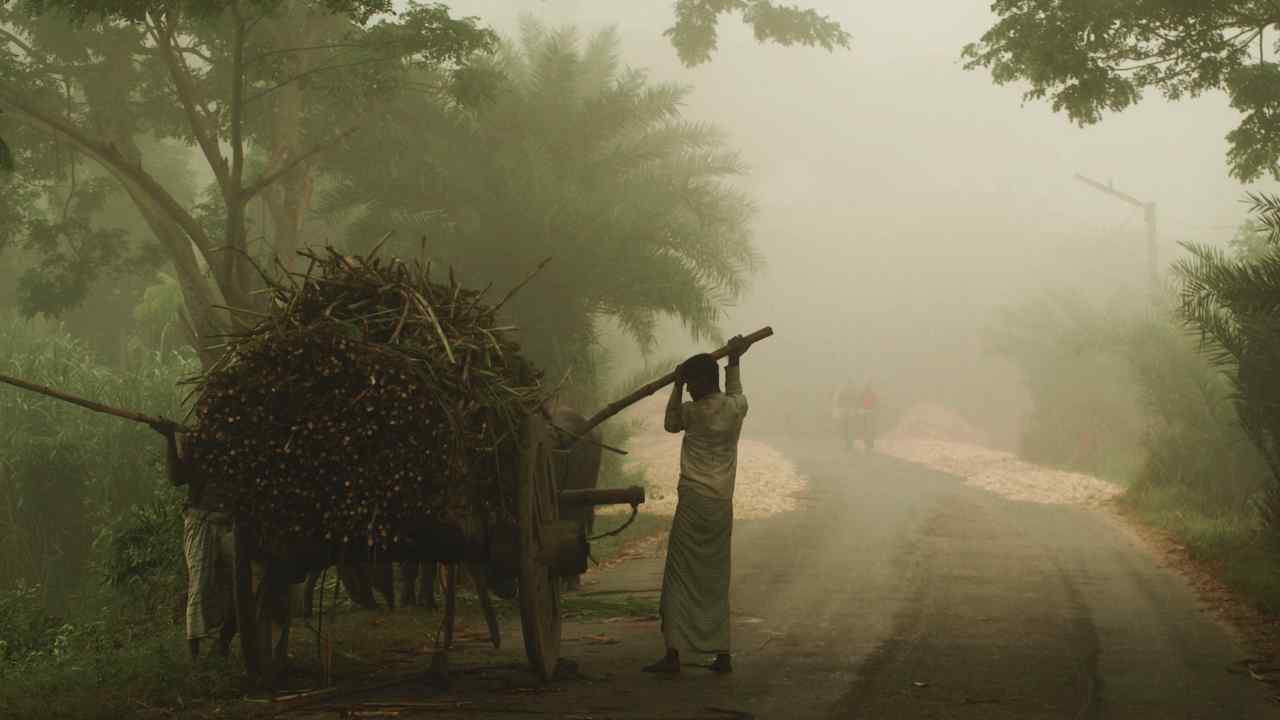 যেসব জেলায় অব্যাহত থাকতে পারে শৈত্যপ্রবাহ