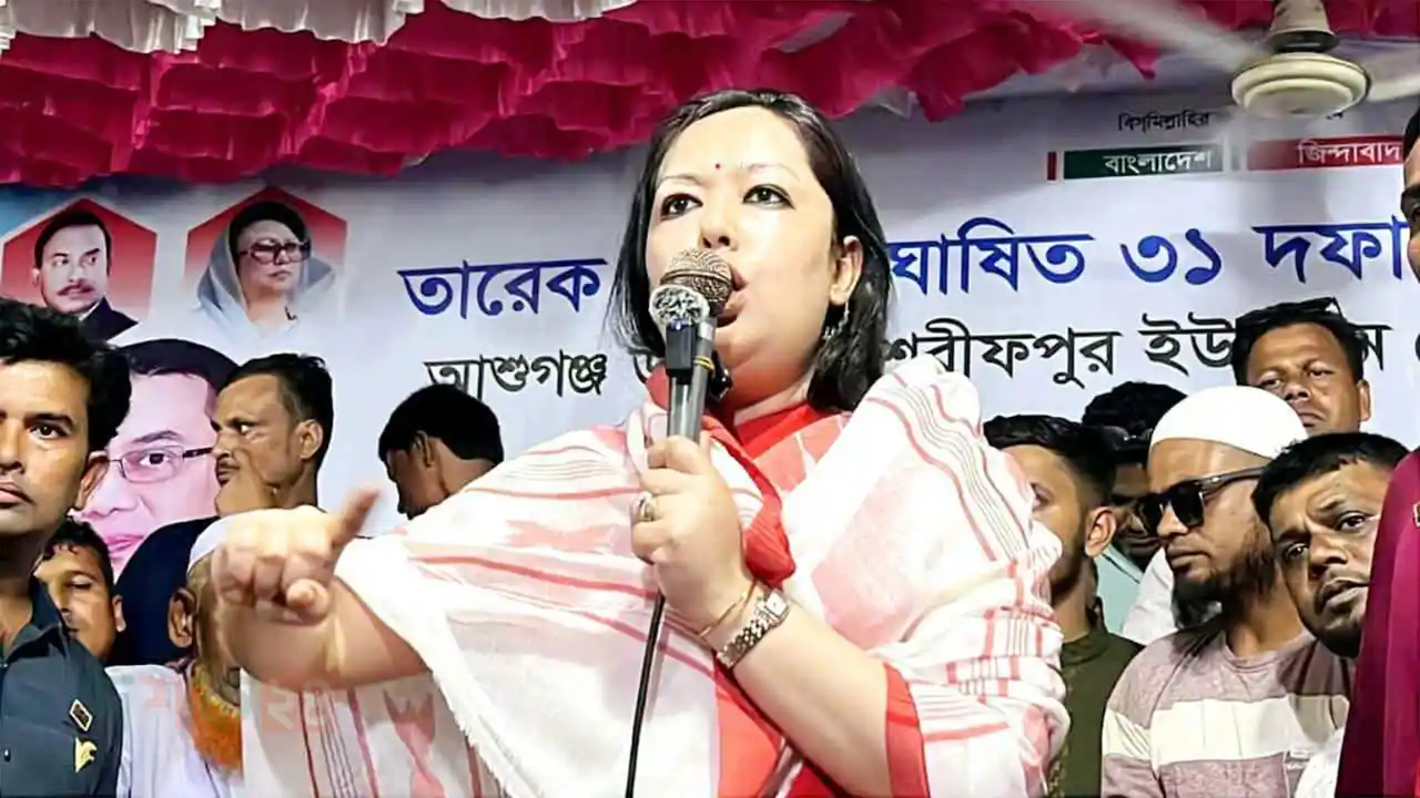 bnp-bichar-dabi