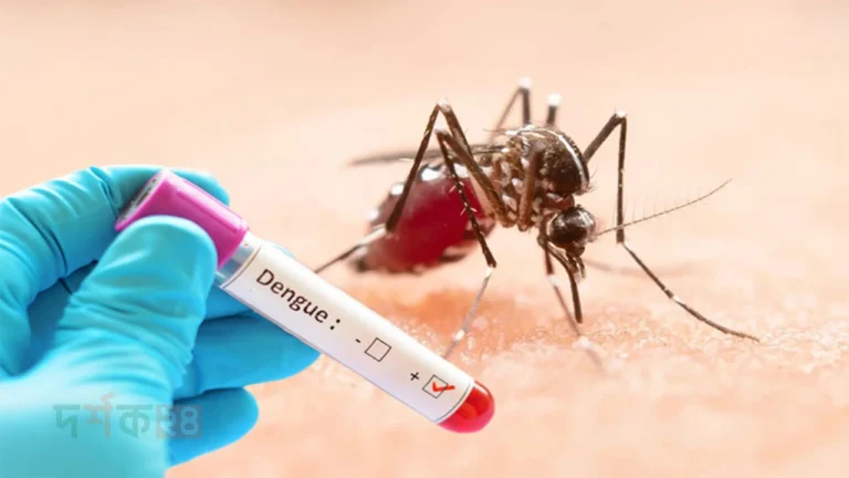 dengue-24-hour-death-toll