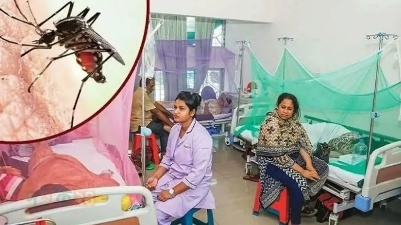 dengue-cases-bangladesh-2025