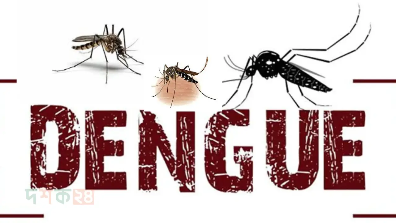 dengue-te-mritu-2025