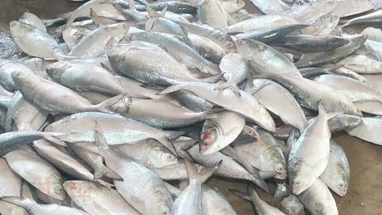 ilish-raptani-anumoti-durga-puja-2025
