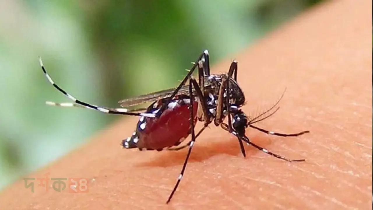 dengue-deaths-new-patients-last-24-hours