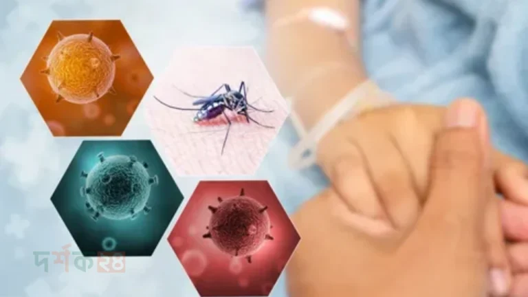 dengue-mritu-o-borti-2025