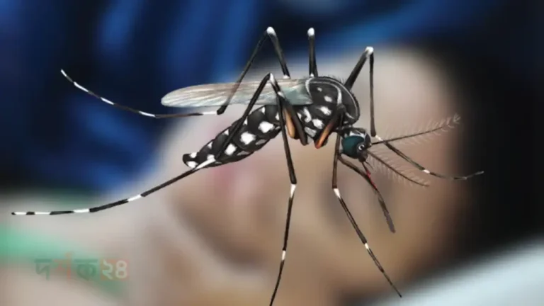 dengue-poristhiti-bangladesh