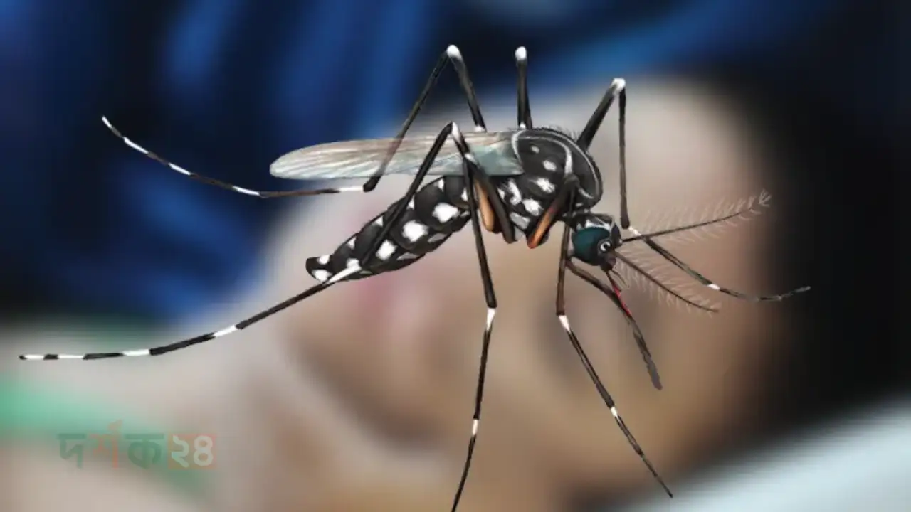 dengue-poristhiti-bangladesh