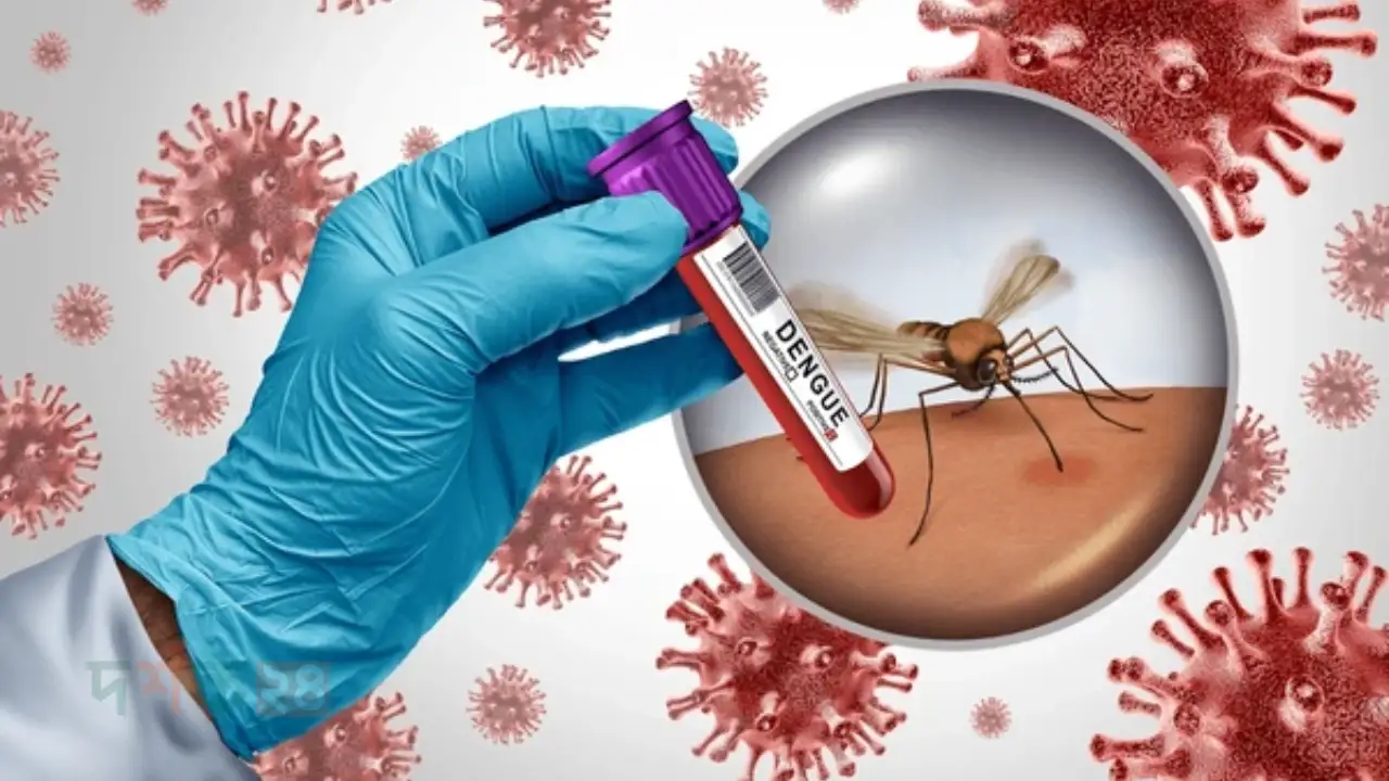 dengue-update-2025