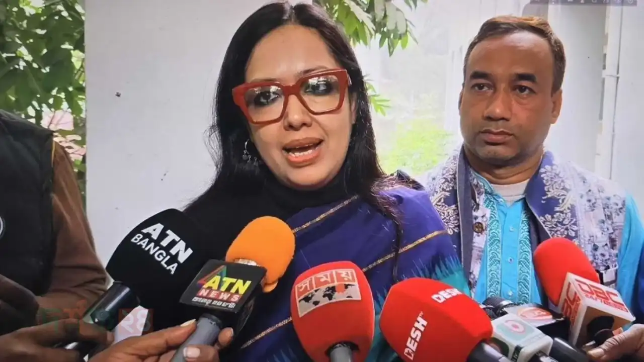 রুমিন ফারহানার আয় সম্পদ