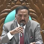 কার্যকর সংসদ